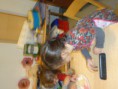 /album/fotogalerij/dsc00187-jpg/